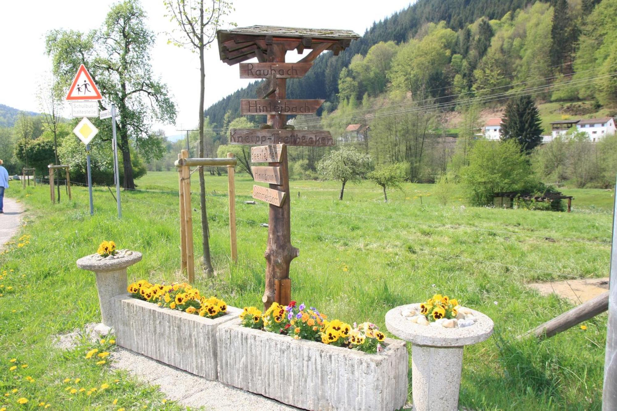 Gasthof Zur Traube Finkenbach Екстериор снимка